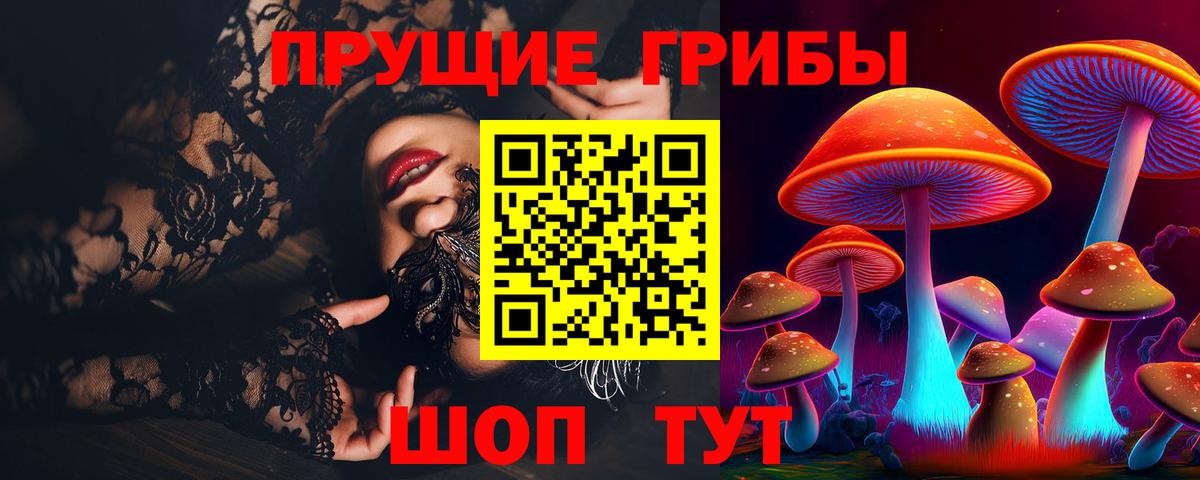 Псилоцибиновые грибы Magic Shrooms  Вход с VPN  Каменск-Шахтинский 